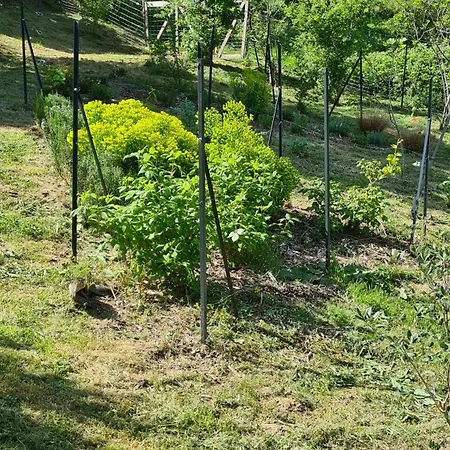 La Maison De Chateau Trompette