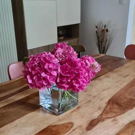 Villa La Maison De Chateau Trompette Sarlat-la-Canéda