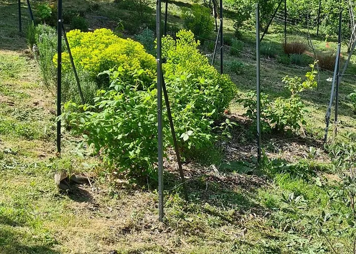La Maison De Chateau Trompette