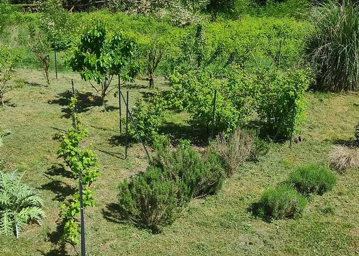 La Maison De Chateau Trompette *